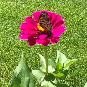 Meet your Posher, Amy